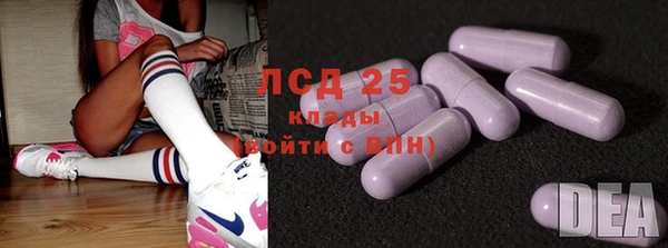 индика Михайлов