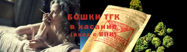 индика Михайлов