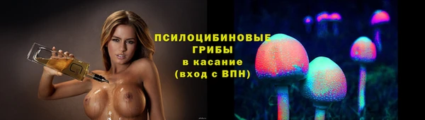 PSILOCYBIN Бородино