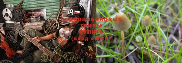 соль ск Мегион