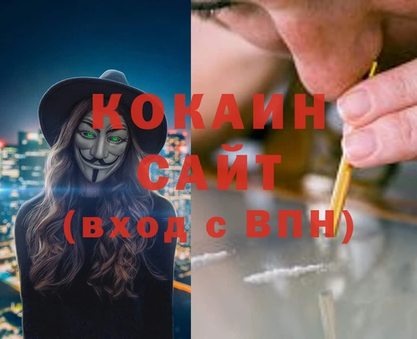 шишки Михайловск