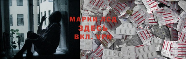 PSILOCYBIN Бородино