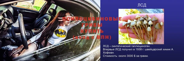 соль ск Мегион