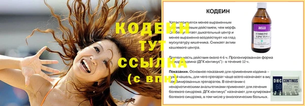 индика Михайлов