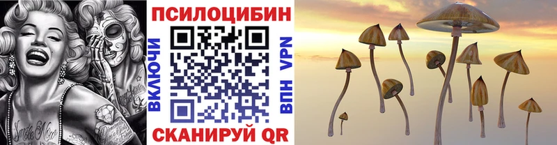 blacksprut ТОР  Буй  Галлюциногенные грибы Psilocybine cubensis 